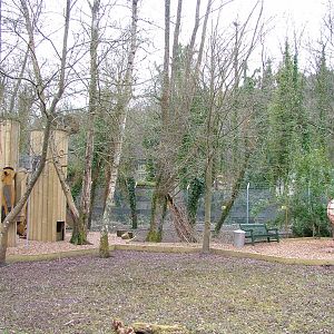 Treecreepers Play Area at Arundel WWT 13/03/10