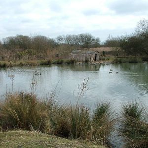 Iraqi Wetlands exhibit at Arundel WWT 13/03/10