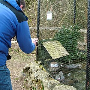 Zoogiraffe and the Blue Ducks at Arundel WWT 13/03/10