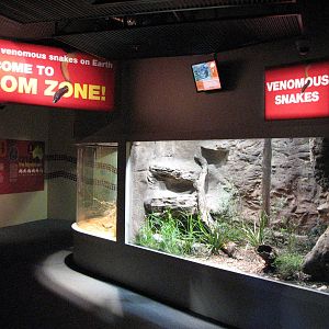 Wildlife World 2007 - Corridor in the Venom Zone