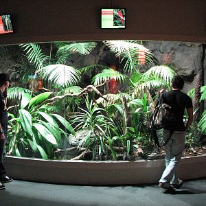 Wildlife World 2007 - Exhibit for Frilled Dragons, Monitors and Skinks