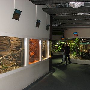 Wildlife World 2007 - Corridor with various lizard exhibits