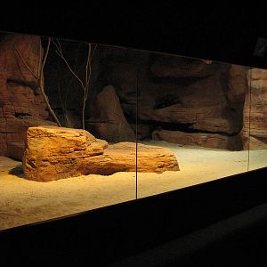 Wildlife World 2007 - Front of the Perentie exhibit
