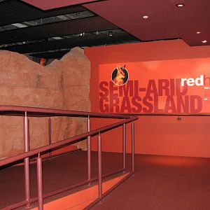 Wildlife World 2007 - Boardwalk leading to the Semi-arid Grassland exhibit