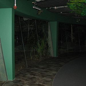 Wildlife World 2007 - Nocturnal exhibit