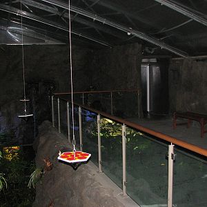 Wildlife World 2007 - Butterfly exhibit