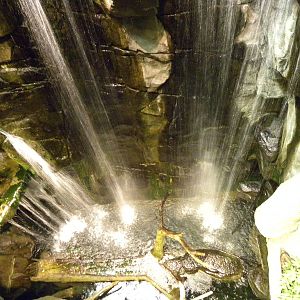 Australia: Wild Extremes