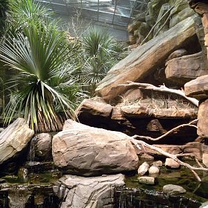 Australia: Wild Extremes