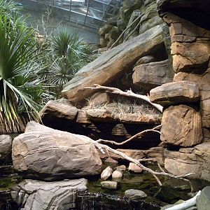 Australia: Wild Extremes