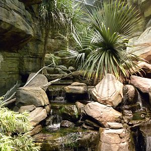 Australia: Wild Extremes