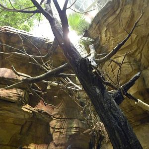 Australia: Wild Extremes