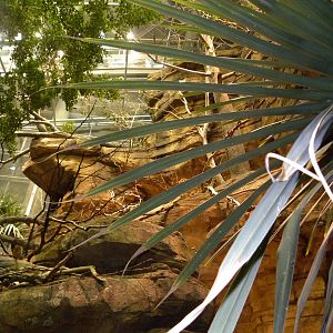 Australia: Wild Extremes