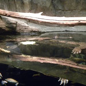 Australia: Wild Extremes