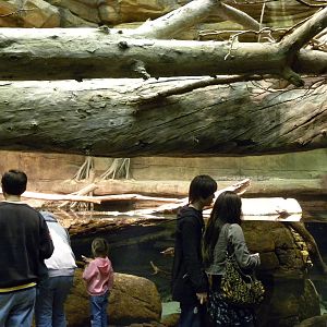 Australia: Wild Extremes