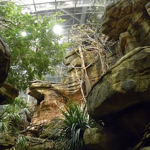 Australia: Wild Extremes