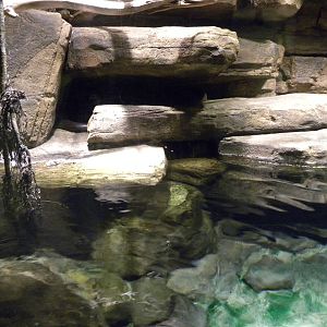 Australia: Wild Extremes