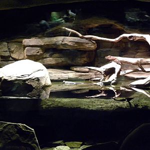 Australia: Wild Extremes