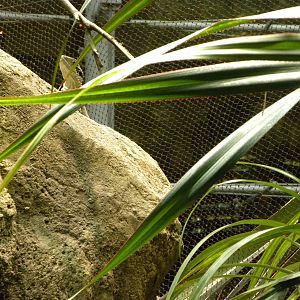 Australia: Wild Extremes