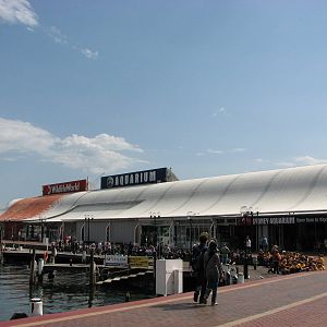 Sydney Aquarium 2007 - The Aquarium building in Darling Harbour