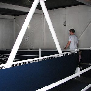 Sydney Aquarium 2007 - Corridor leading down to the shark tunnel