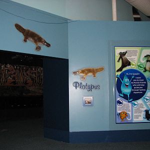 Sydney Aquarium 2007 - Entrance to the Platypus section