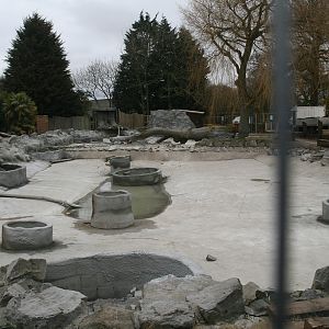 Giant Otter Enclosure Construction #3