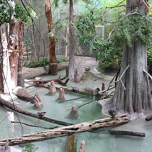 Brookfield Zoo 2003 - Exhibit in the Swamp