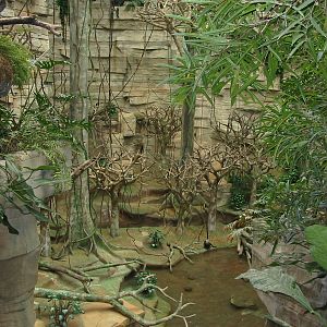 Brookfield Zoo 2003 - Exhibit in Tropic World