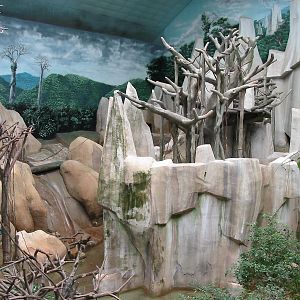 Brookfield Zoo 2003 - Orangutan exhibit in Tropic World