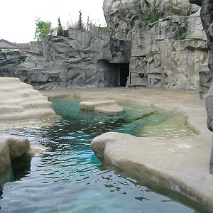 Brookfield Zoo 2003 - California Sea Lion pool in the Pinniped Point