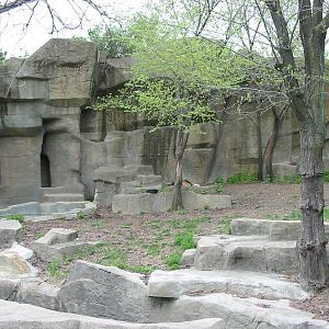 Brookfield Zoo 2003 - African Lion exhibit in Fragile Hunters