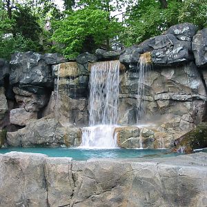 Cincinnati Zoo 2003 - Polar Bear exhibit