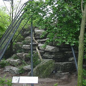 Cincinnati Zoo 2003 - Outdoor Snow Leopard enclosure at the famous Cat Hous