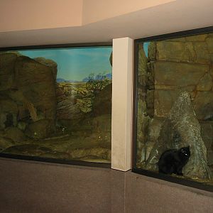 Cincinnati Zoo 2003 - Indoor exhibits in the famous Cat House