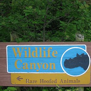 Cincinnati Zoo 2003 - Signpost at the Wildlife Canyon