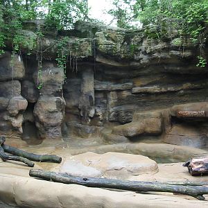 Cincinnati Zoo 2003 - Spectacled Bear exhibit?