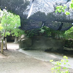 Cincinnati Zoo 2003 - Outdoor Sumatran Rhinoceros exhibit
