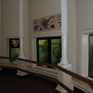 Cincinnati Zoo 2003 - Inside the Reptile House