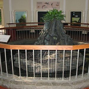 Cincinnati Zoo 2003 - Central exhibit at the Reptile House