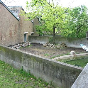 Cleveland Zoo 2003 - Pygmy Hippopotamus exhibit at the old Pachyderm House