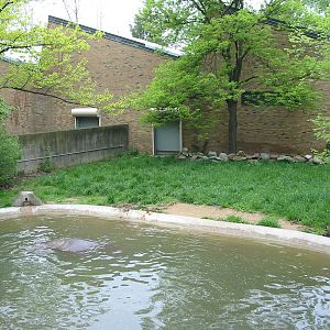 Cleveland Zoo 2003 - Hippopotamus exhibit at the old Pachyderm House