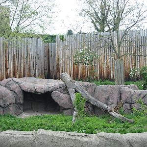 Cleveland Zoo 2003 - African Lion exhibit