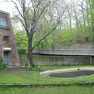 Cleveland Zoo 2003 - Pigmy Hippo and Kirks Dik Dik exhibit