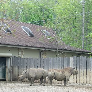 Cleveland Zoo 2003 - Part of the Black Rhinoceros exhibit
