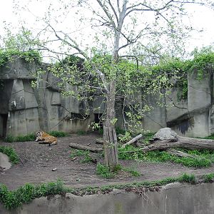 Cleveland Zoo 2003 - Siberian Tiger exhibit in the Northern Trek