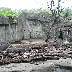Cleveland Zoo 2003 - Bear exhibit in the Northern Trek