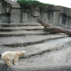 Cleveland Zoo 2003 - One of two Polar Bear exhibits in the Northern Trek
