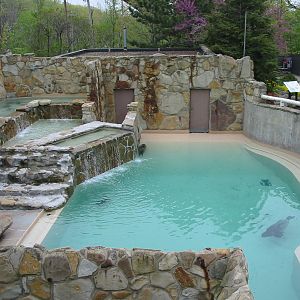 Cleveland Zoo 2003 - California Sea Lion pool in the Northern Trek