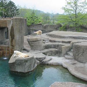Cleveland Zoo 2003 - The second of two Polar Bear exhibits in the Northern
