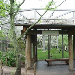 Columbus Zoo 2003 - Viewing corner at the famous Gorilla exhibit